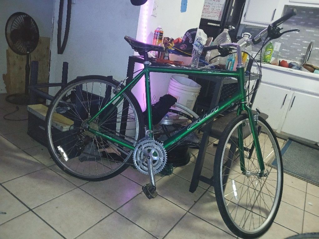 Vintage Fuji 29inch