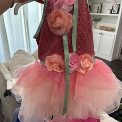 Ballerina Costume Size XS