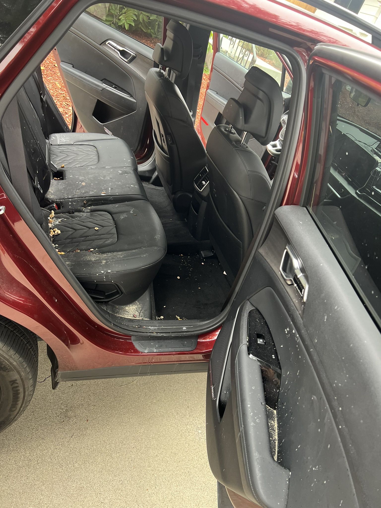 Full Detail Exterior / Interior