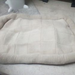 New Doggie Bed