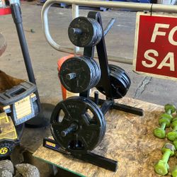 Weider Weights And Tree