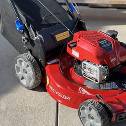 Toro SmartStow Self Propelled Lawn Mower