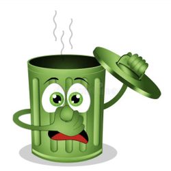 Trash Bin Cleaning