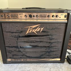 Peavey Ecoustic 112 100-Watt 1x12 Acoustic Instrument Amplification System