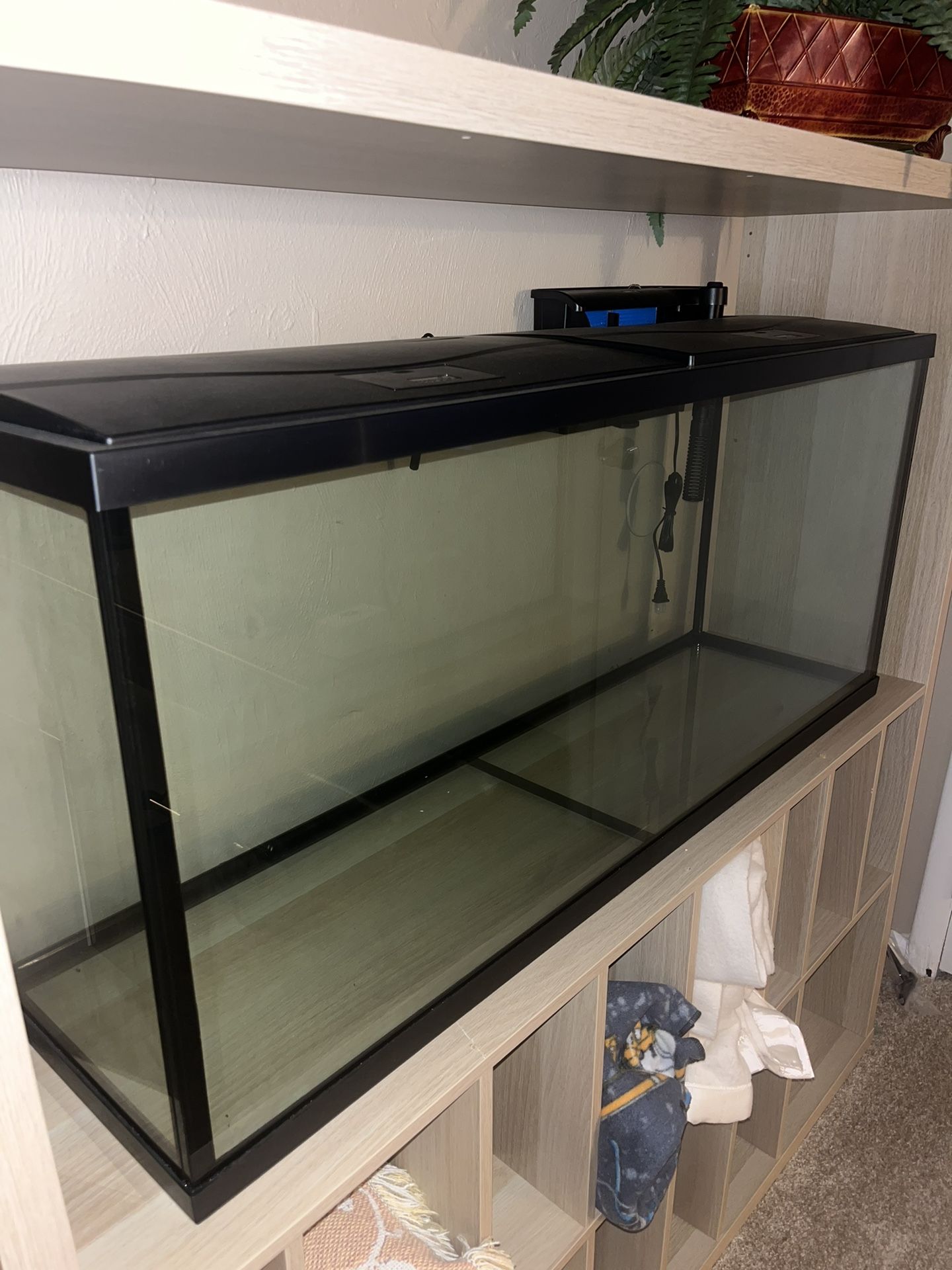 Fish Tank 55 Gallon