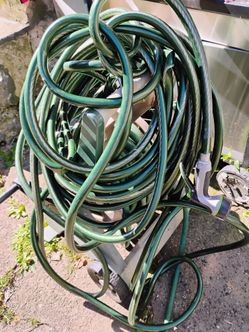 Garden Hose with Spray Nozzle