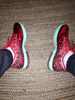 KD 6 Christmas Edition