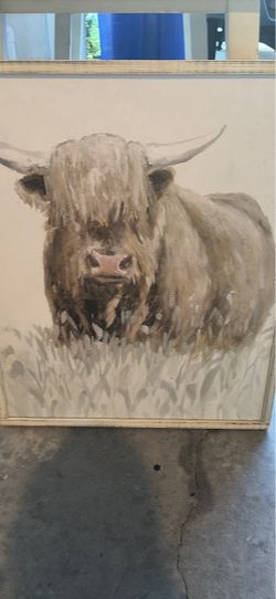 Highland cow canvas