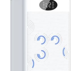 Dehumidifier For Home