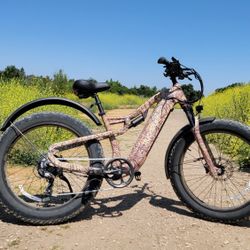 Electric Bike Full Suspensions 