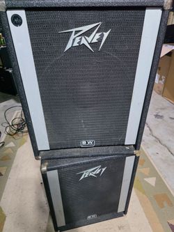 Peavey mains PA speakers work great
