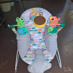 Baby Bouncer