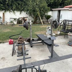 LineX 2.74 Olympic Bench Press & Weightss