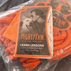 Mighty Paw Leash & Lessons 🐾🐾