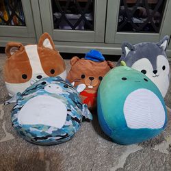 5 Total 8" Squishmallows 