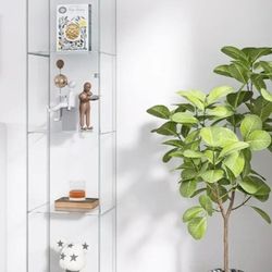 Glass Display Case