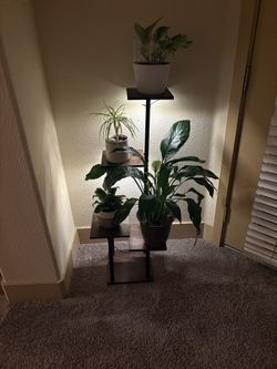 🌿 Modern Plant Stand with Grow Lights – Great Condition with plants