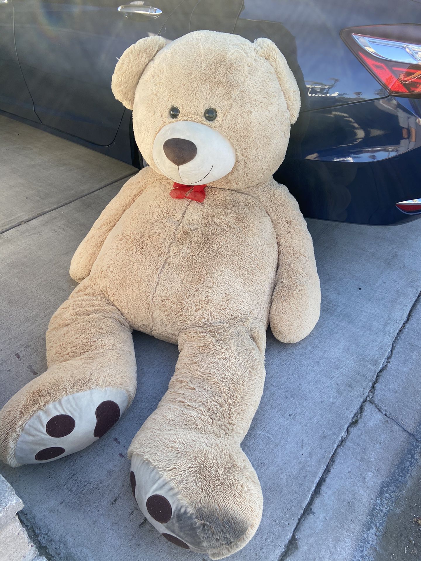 Giant teddy bear FREE