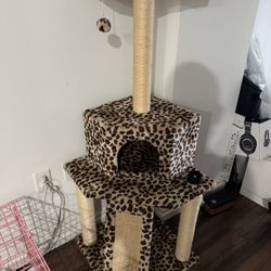 Cat Tree 