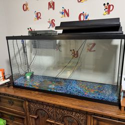 Fish Tank 
