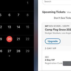 Camp Flog Gnaw VIP 2025