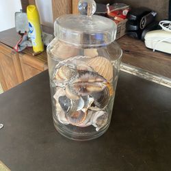 Princess House Biscuit Battel