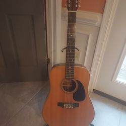 Alvarez 12 String