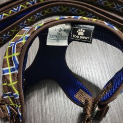 Beautiful Dog Harness with Leash set