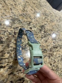DOG COLLAR