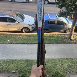 Easton Quantum Youth Baseball Bat Travel Ball