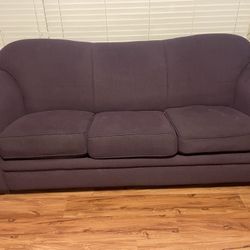 Couch With Pullout Bed/ Love Seat Set