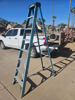 8' Werner Fiberglass Ladder