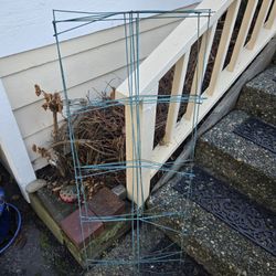 Tomato Cage