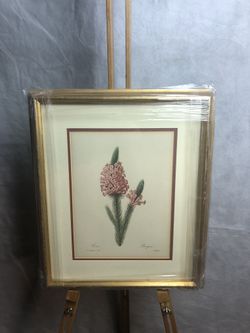 P.J. Redoute 37 Print In Gold Frame With Matting And Glass, Ready To Hang