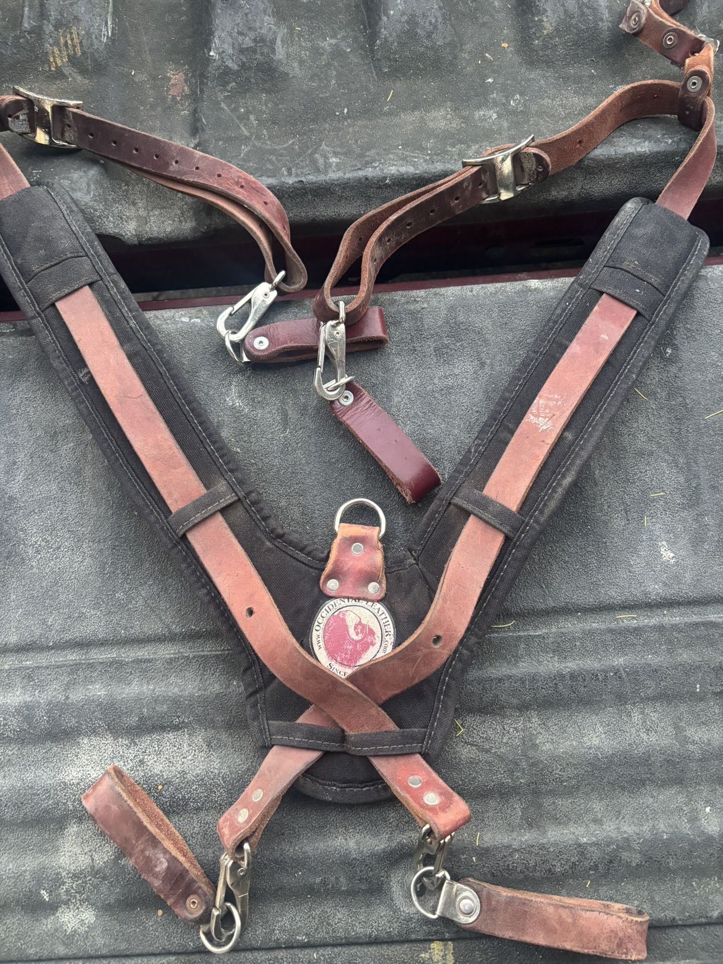 Occidental Suspenders