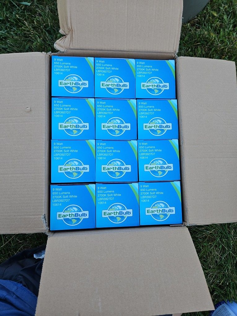 12 Lightbulbs