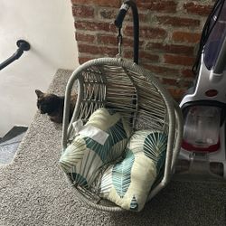 Pet Bed