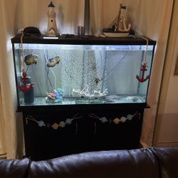 Fish Tank Comes With Everything You See