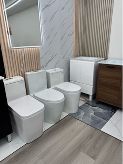 Toiet and Vanity
