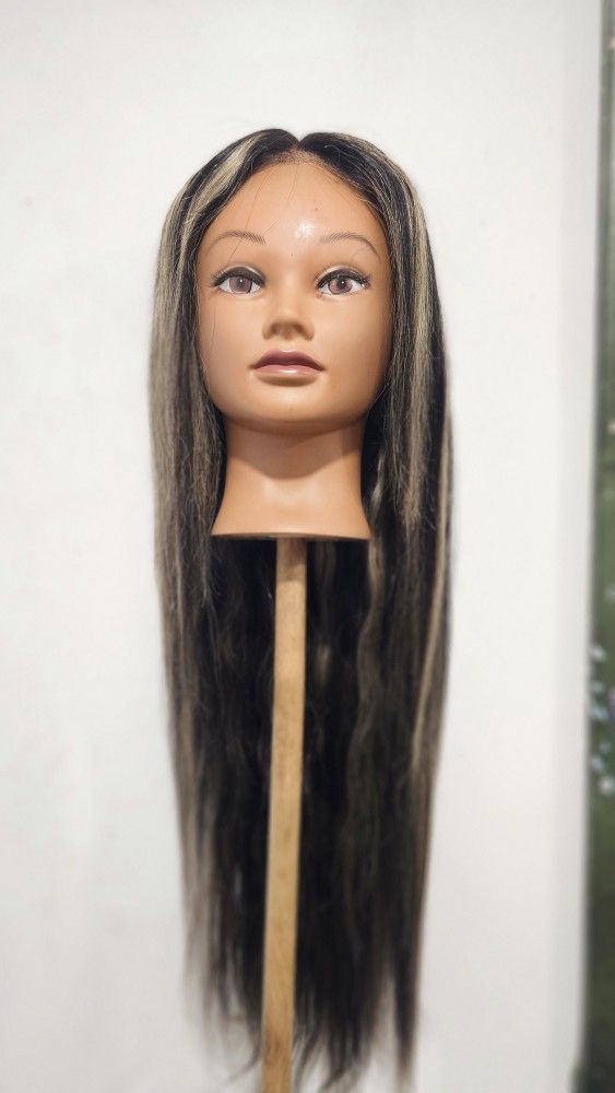 Human Hair Lace Front Wig