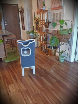Cat's play tower!