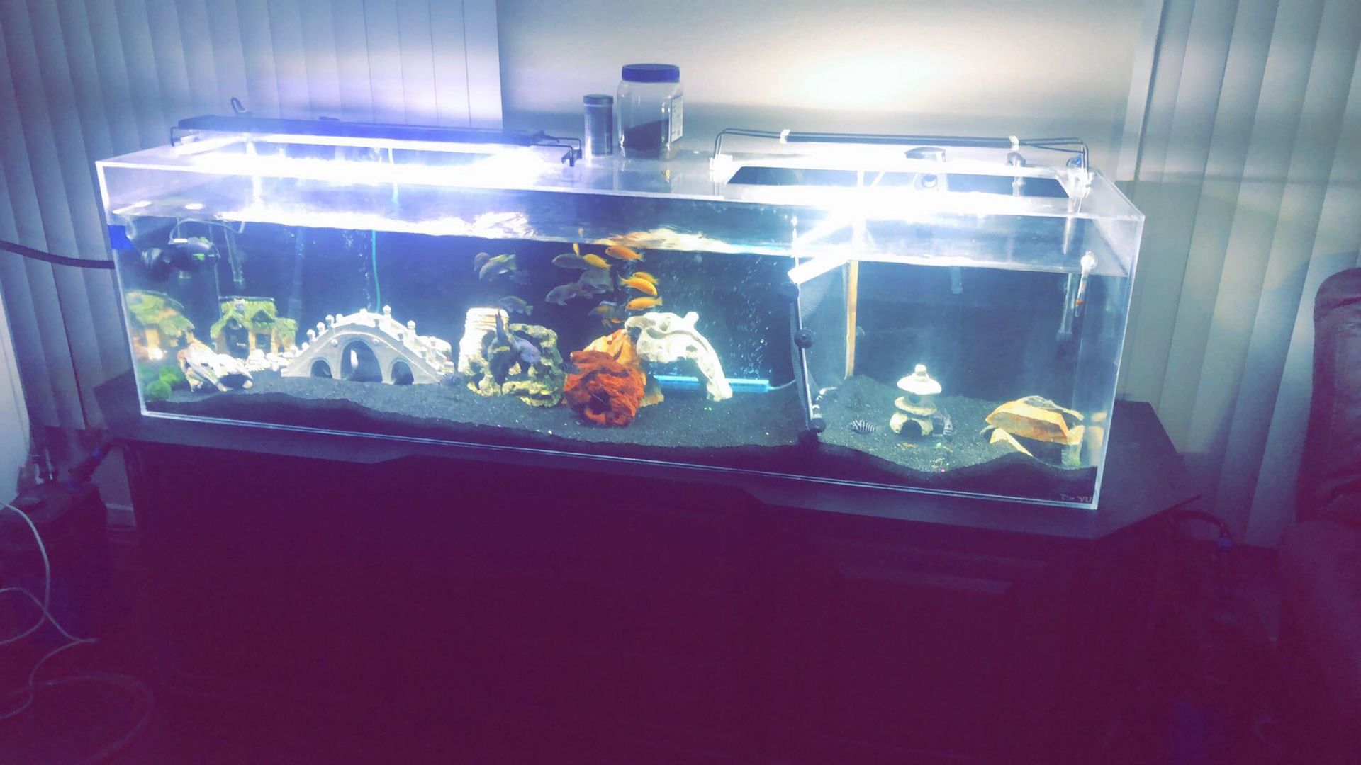 120g aquarium