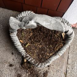 Plant Concrete Pot 