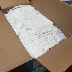 Walmart Parent Choice Diapers