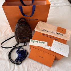 Louis Vuitton Palm Springs Mini