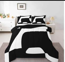 Erosebridal Black and White Abstract Queen Comforter Set for Adult Women Men Boho Geometric Striped Bedding Set Minimalist Modern Art Bed Set Simple A