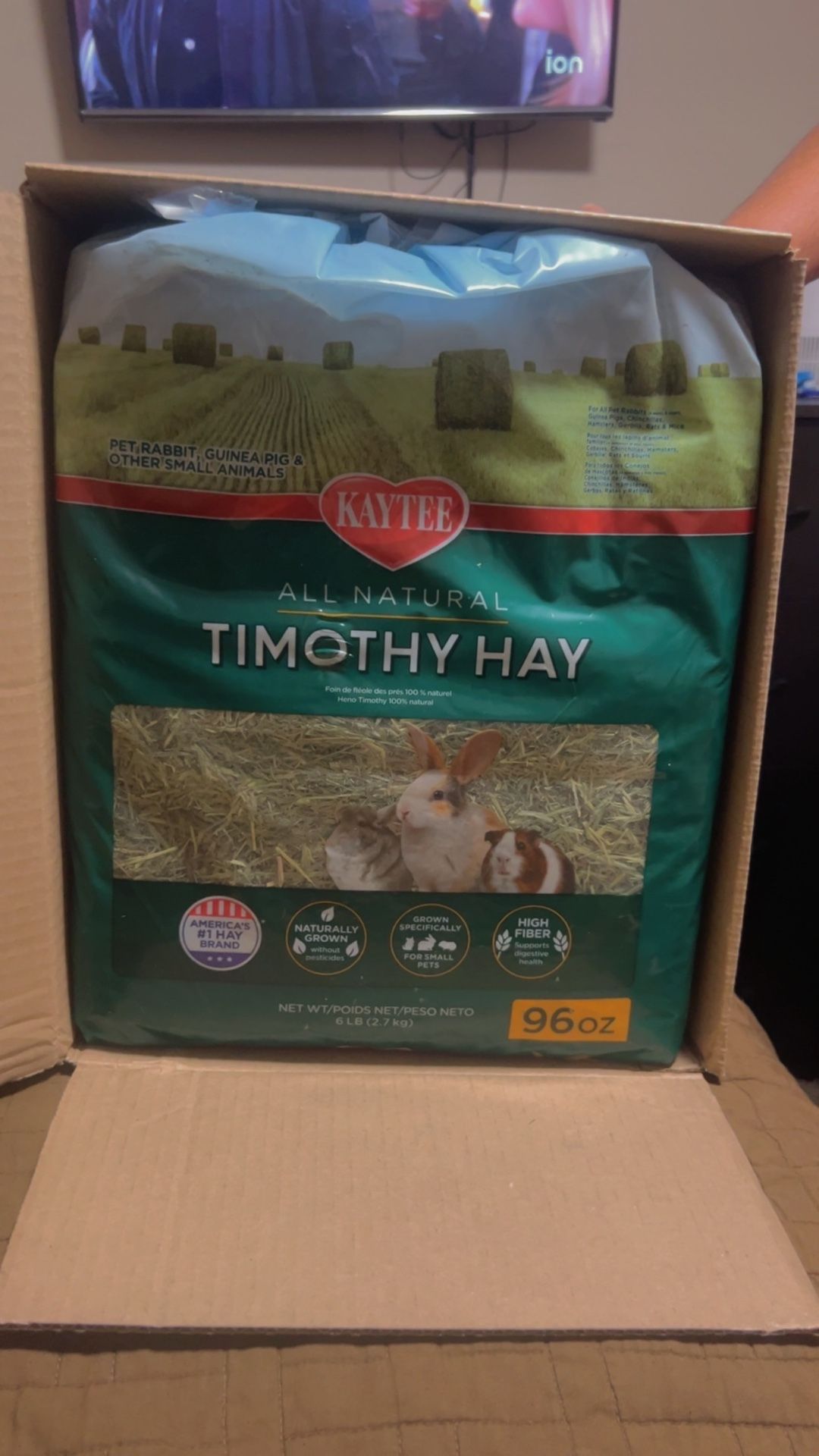 Timothy Hay
