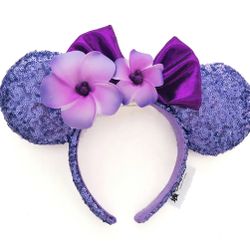 Disney Ears 