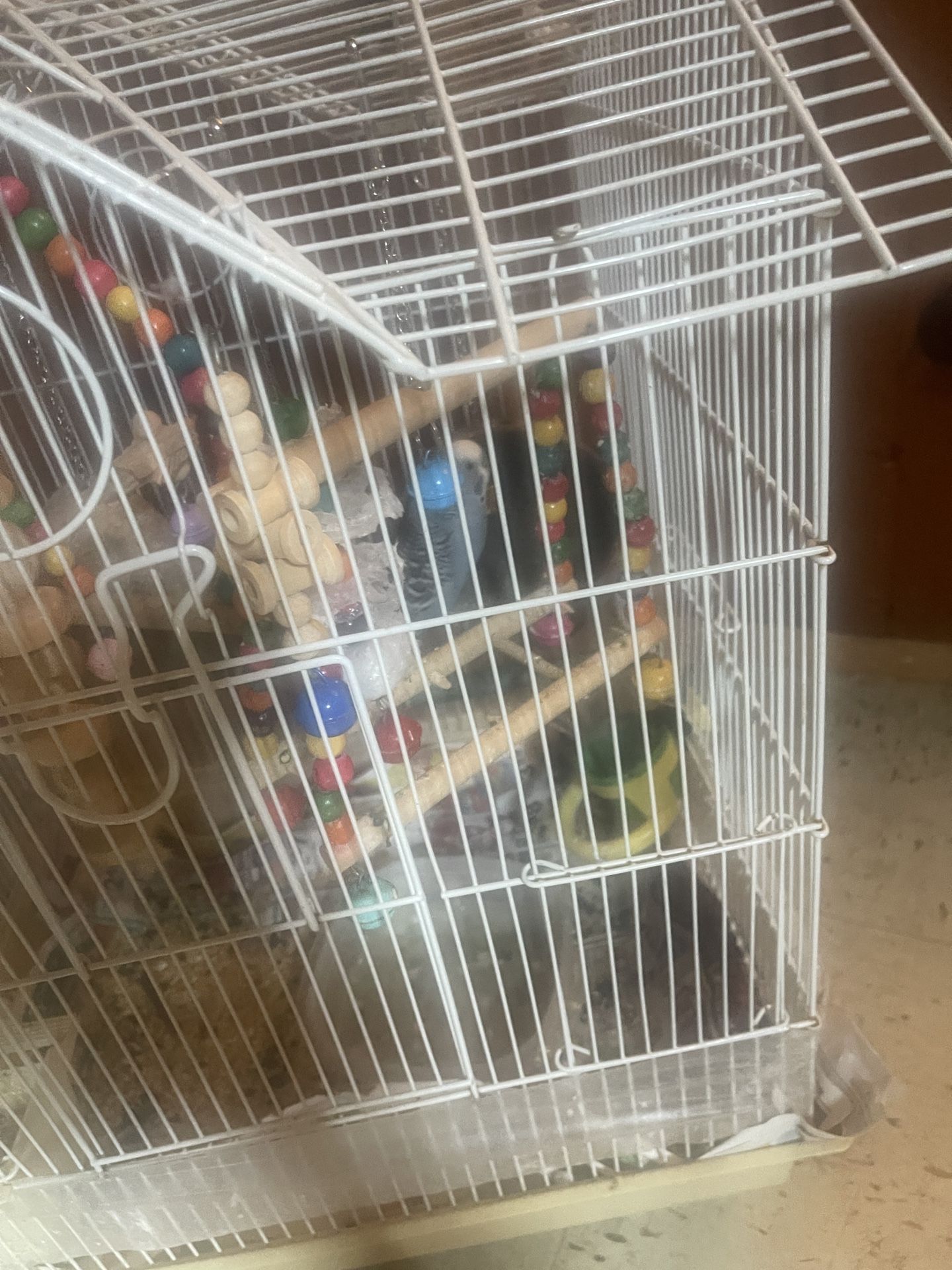 Bird Cage With Toys