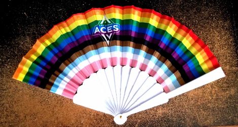 Las Vegas aces basketball WNBA Aja Wilson fan brand new
